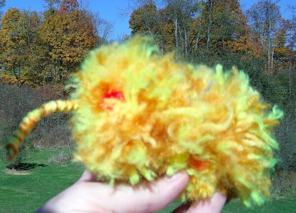 Yellow Puffball Weevil