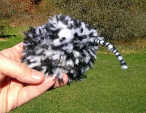 Black and White Puffball Weevil