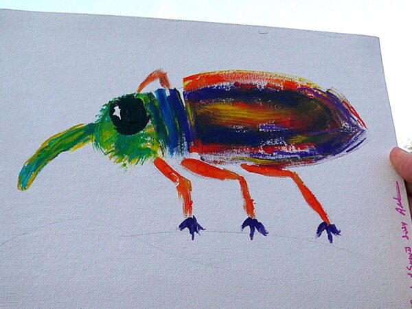 Rainbow Weevil Fan Painting