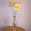 Cheery Puffball Petal Flowers - Daisies - Image 2
